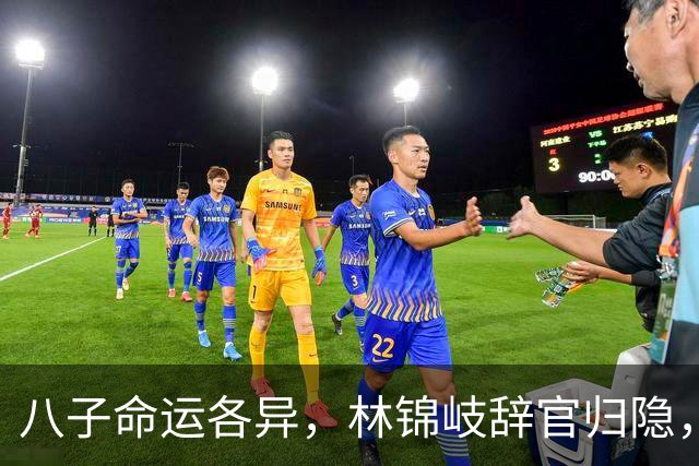八子命运各异，林锦岐辞官归隐，林绣芄嫁得良缘